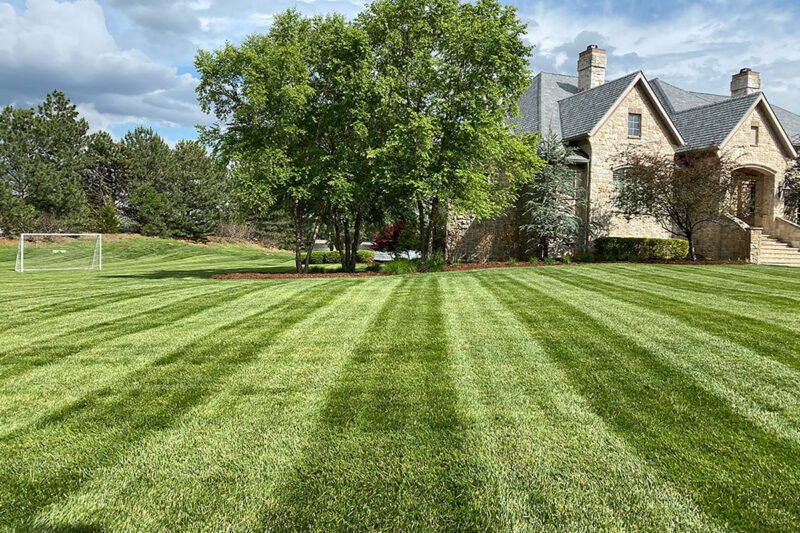 Fertilized Lawn