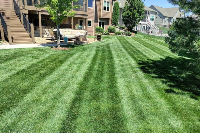 Lawn Fertilization Wichita