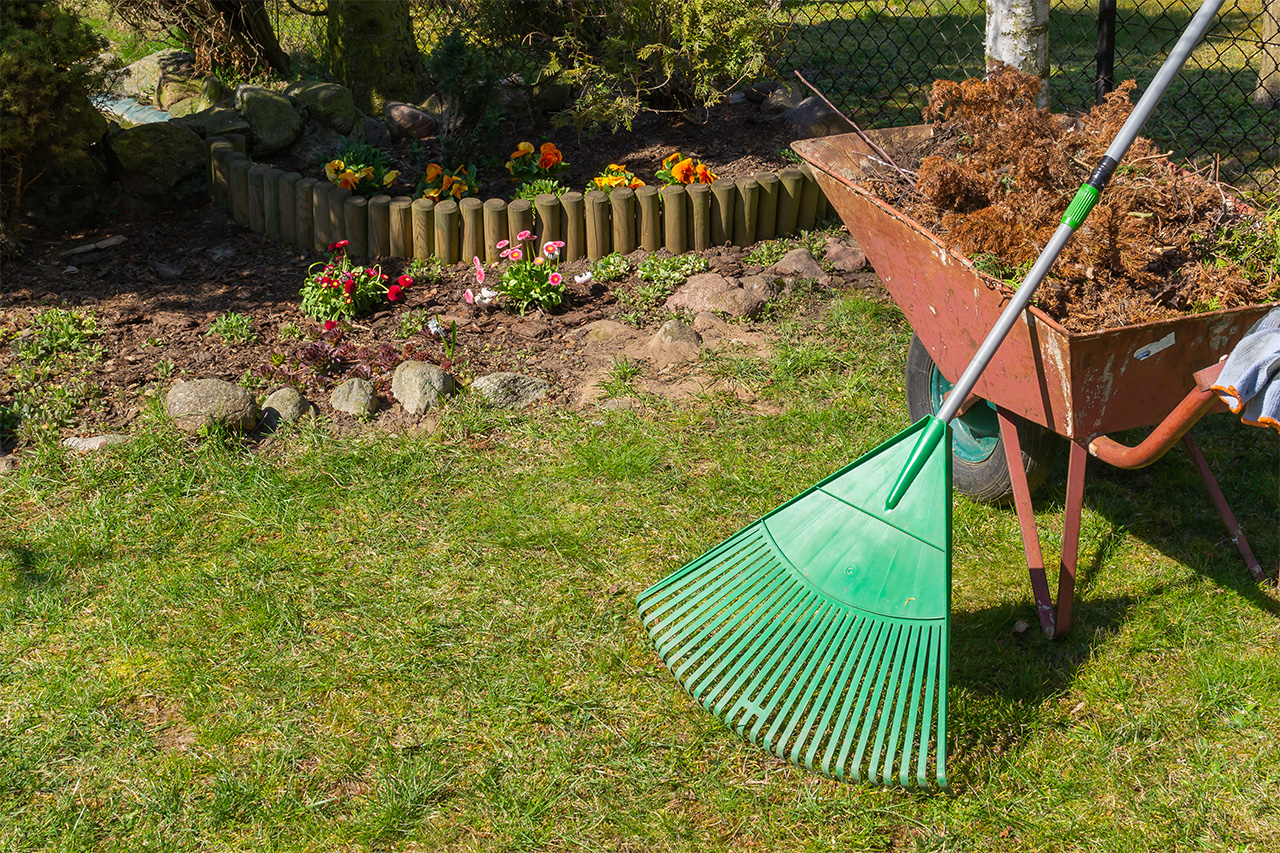 Spring Lawn Cleaning