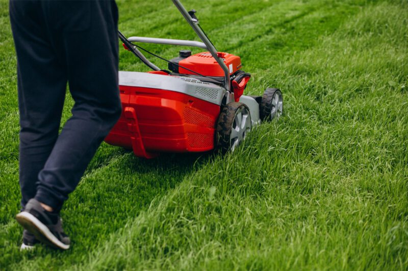 Lawn Mowing During Drought