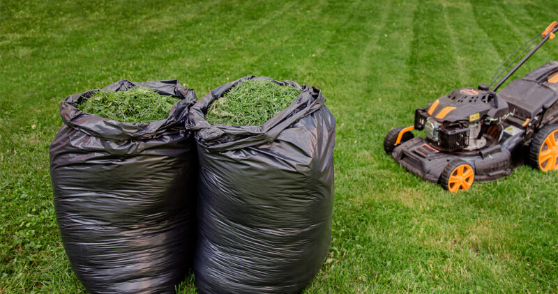 Should I Bag My Grass Clippings Wichita Ks