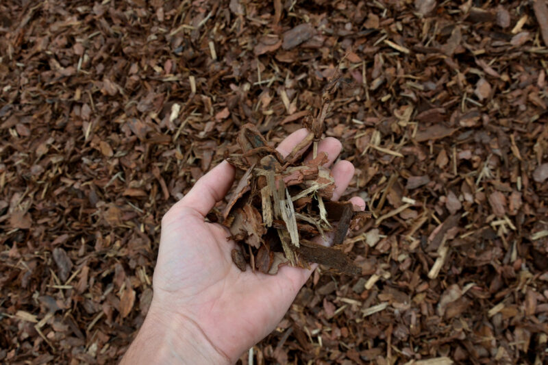 Person Holding Organic Mulch