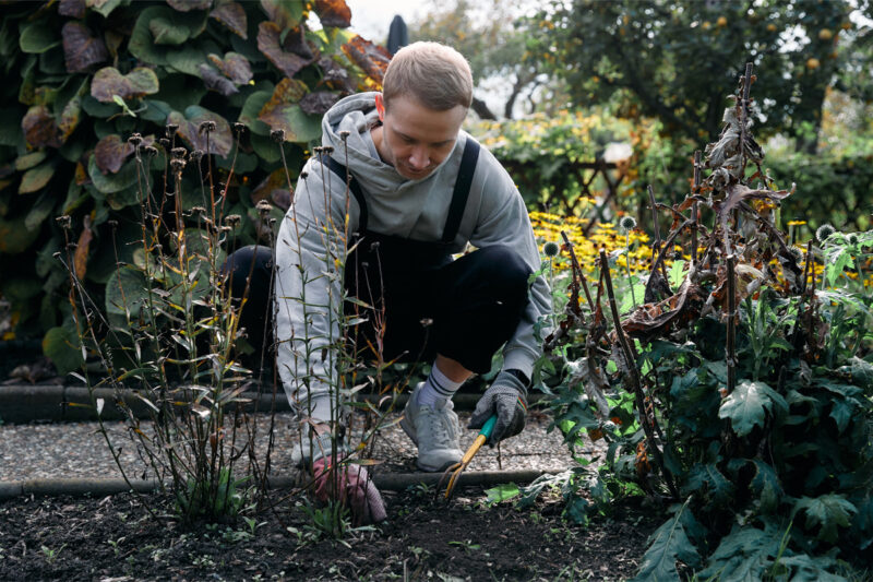 Person Tending The Garden