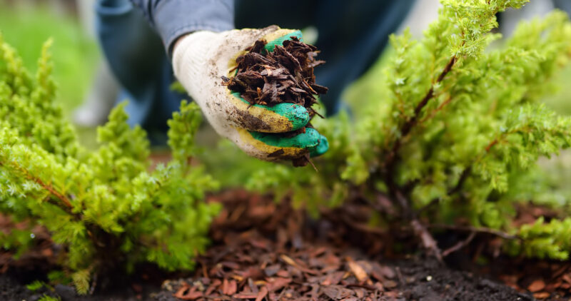 Person Using Organic Mulch On Flower Beds In Wichita Ks