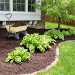 Placing Mulch In A Garden