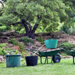 Removing Organic Mulch